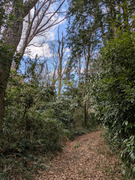 PXL_20260319_060714716