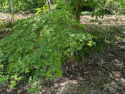 PXL_20260518_022442172