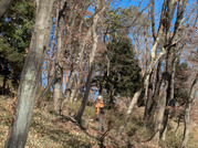 PXL_20251216_021405628