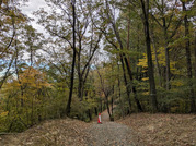 PXL_20251117_233339485