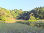 P4150089
