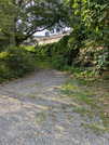 PXL_20260729_080156877