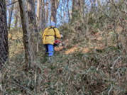 PXL_20260126_030426149