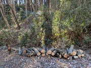 PXL_20260123_020543530