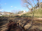 P2120002