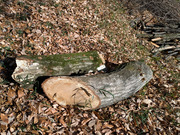 PXL_20251217_025615643