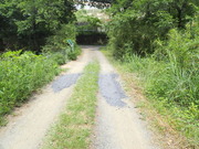 P5310025