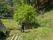 PXL_20260417_014120166