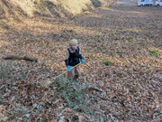 PXL_20260116_013227160