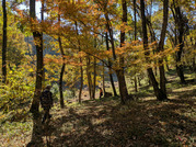 PXL_20251121_023747055