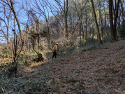 PXL_20260213_020445702