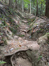 PXL_20260531_024506783