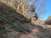 PXL_20260118_044203061