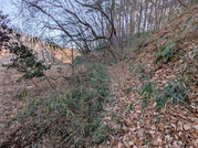 PXL_20260115_235219042