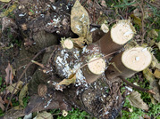 PXL_20251123_004758429