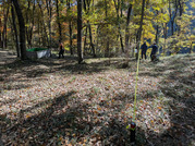 PXL_20251121_023504665