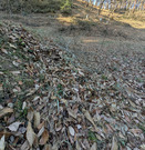 PXL_20260118_052612850