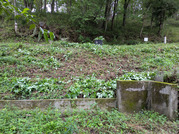 PXL_20260823_020056101