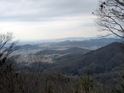 PXL_20260119_034216600