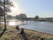 P7290075