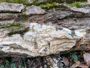 PXL_20260116_015551313