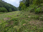 PXL_20260508_023849818