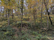 PXL_20251118_000007231