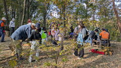 PXL_20251116_015056522