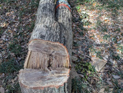 PXL_20251124_012851370