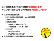 市民の森のナラ枯れと蔓延_02