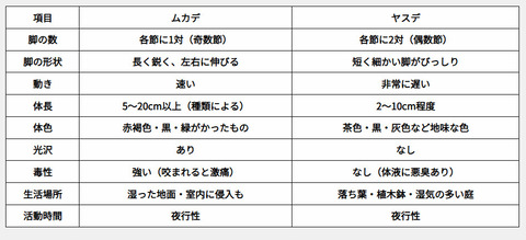 ムカデとヤスデ
