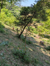 PXL_20260515_041159195