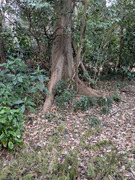 PXL_20260319_061000635