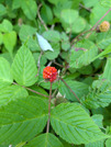 PXL_20260513_025133108