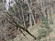 PXL_20260224_004746731