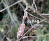 PXL_20260301_011614336