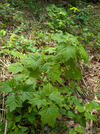 PXL_20260420_020431115