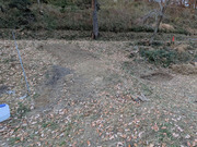 PXL_20251210_070604201