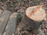 PXL_20260217_021725563