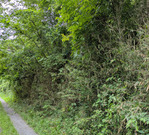 PXL_20260726_033018604