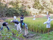 DSCN0131