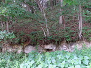 DSC01180