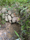 PXL_20260425_003823689