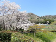 P3310012