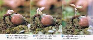 img-211108042330-0003