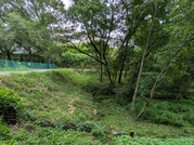 PXL_20260804_035850451