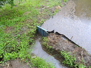 DSC09730