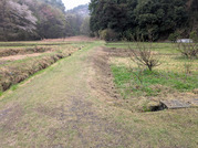 PXL_20260404_041757545