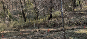 PXL_20260316_064620184