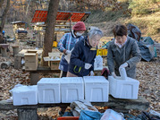 PXL_20251219_034607279